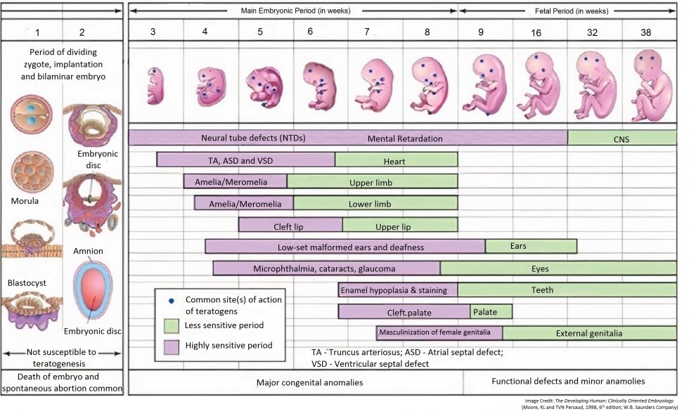 birth-defects