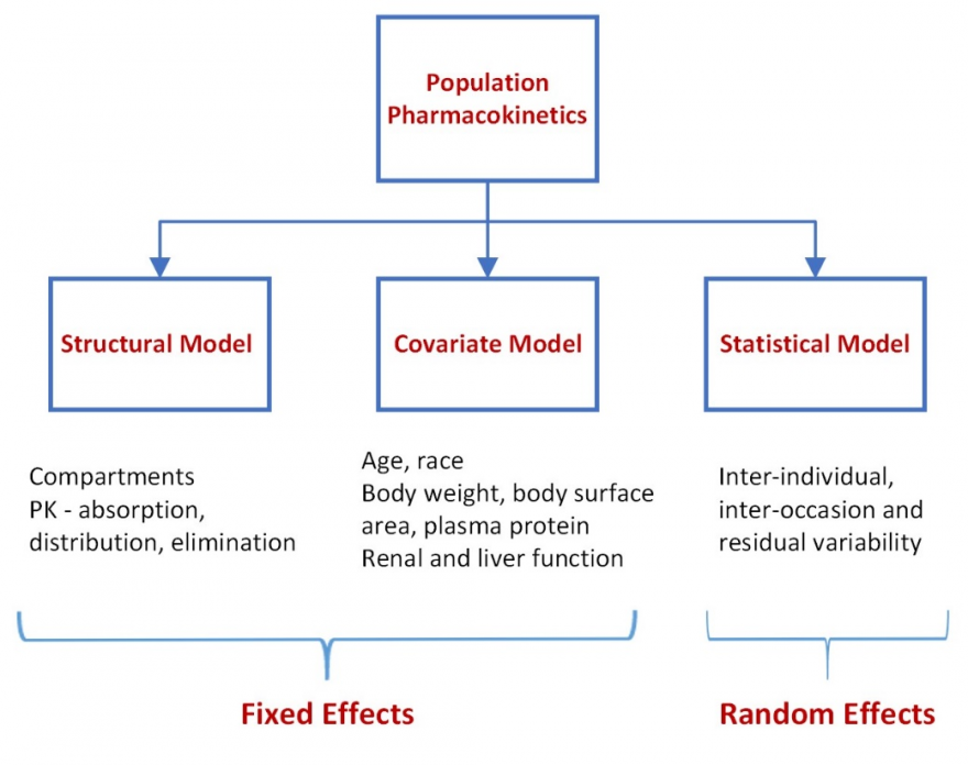 Population Pharmacokinetics - RxMD